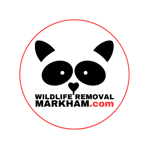 Wildlife Removal Markham logo